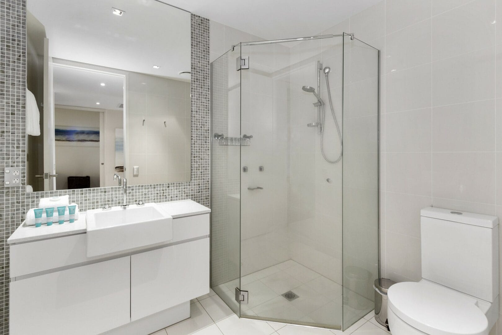 Walk in shower wirg glass enclosure and wall vanity